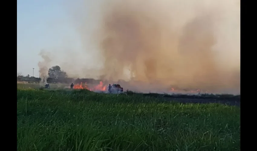 Foto ilustrativa de las galeras incendiadas. 