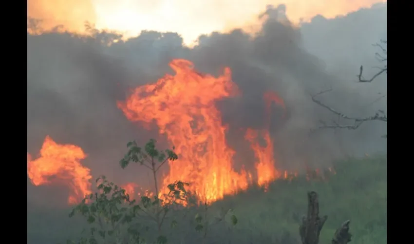 La temporada de verano hace que aumenten más los incendios. Foto: Epasa