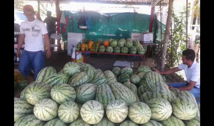 La actividad es una de las principales del rubro agrícola en la región herrerana. 