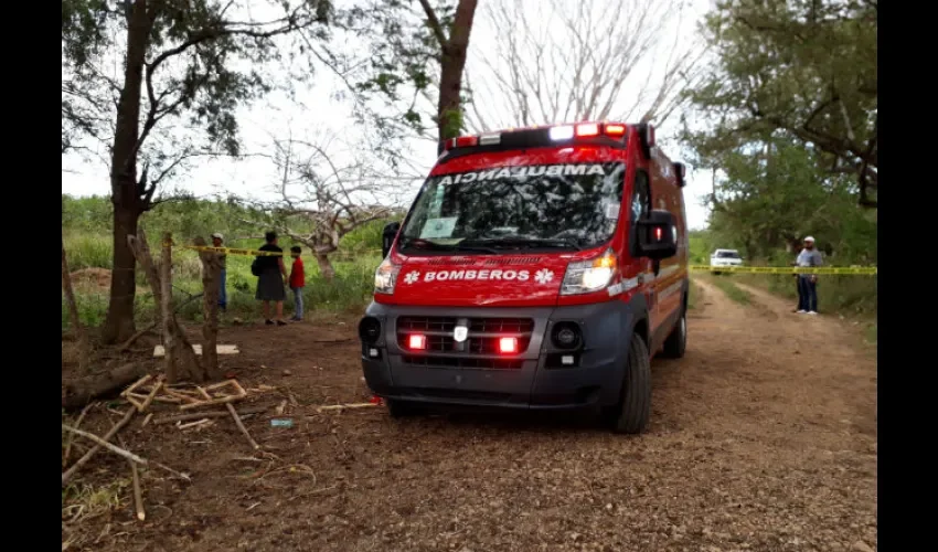 Tras la caída del árbol, el joven fue trasladado de urgencias. 