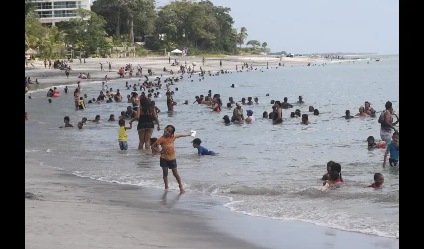 Unos cinco mil voluntarios limpiaron las playas, costas y ríos. Foto: Jesús Simmons