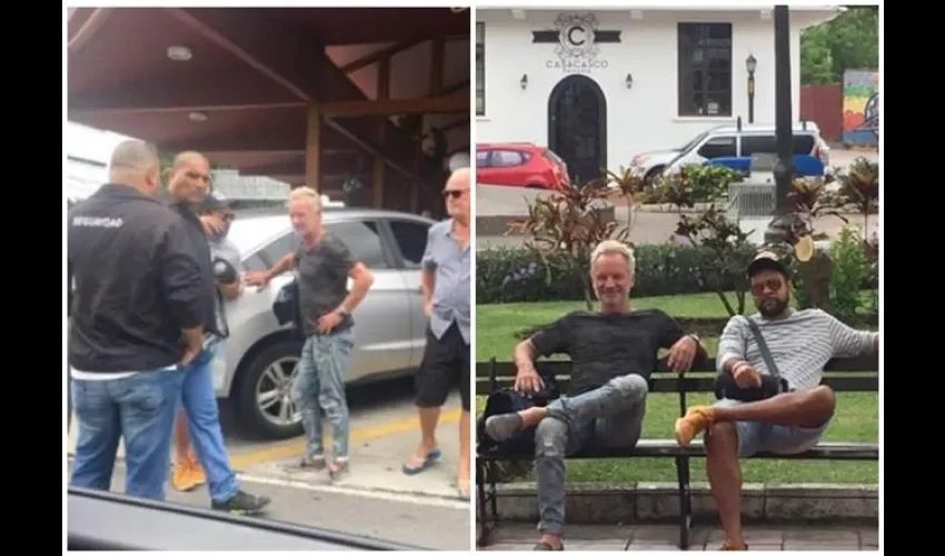 Sting y Shaggy. 