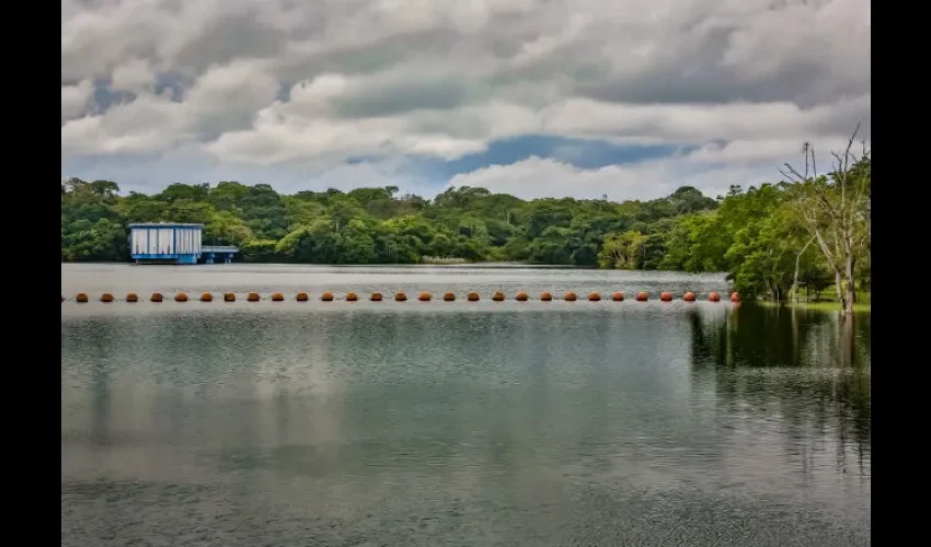 Foto ilustrativa del lago. Cortesía. 