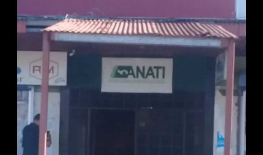 Foto ilustrativa de la oficina de Anati. 