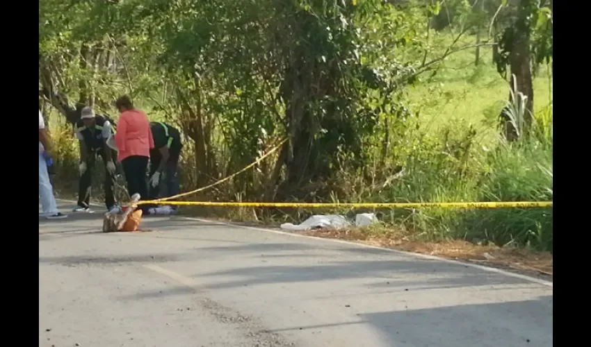 Foto ilustrativa del área del accidente. 