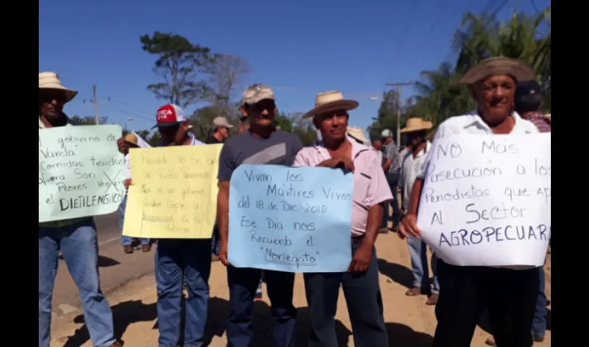 Ganaderos panameños. 