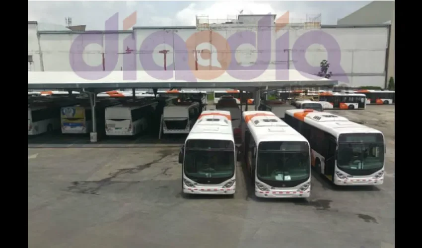 En caso de incidentes dentro del bus en donde no haya habido una colisión que pueda considerarse accidente, los afectados deben informar al conductor lo sucedido, proporcionar sus datos y tomar el número del bus.  Foto: DD