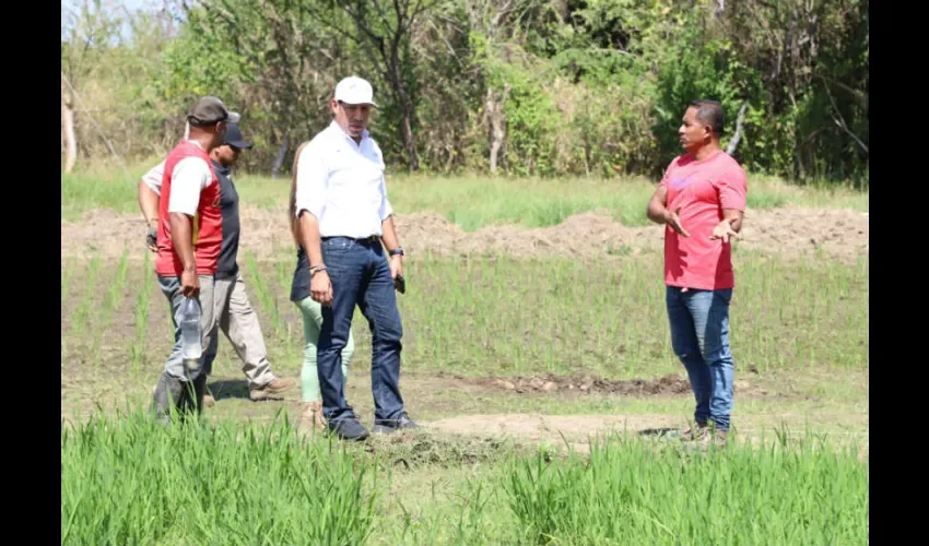 Foto ilustrativa  de la inspección del área. 