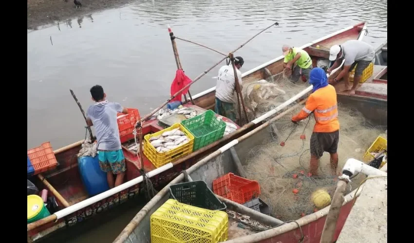 Foto ilustrativa de los pescadores. 