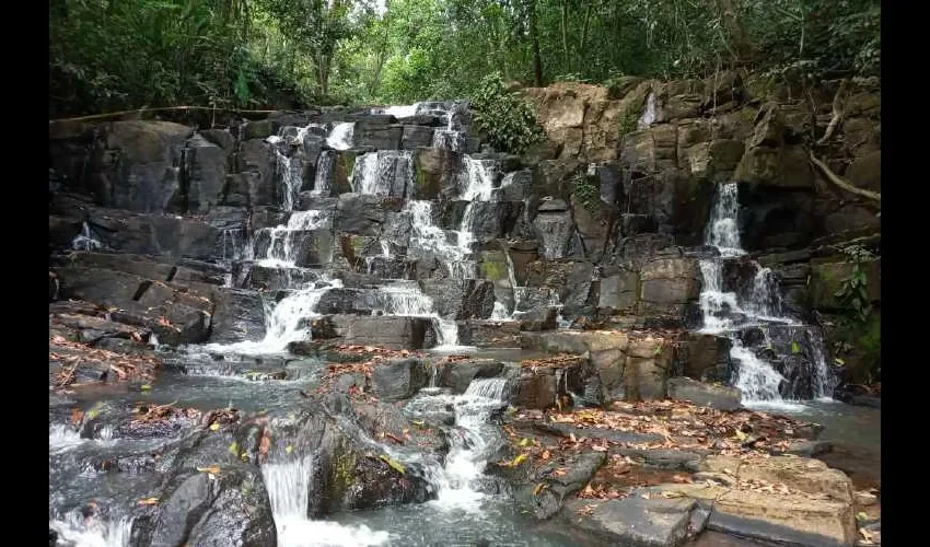 Conducen a lugares hermosos de nuestro Panamá. Fotos: Cortesía 