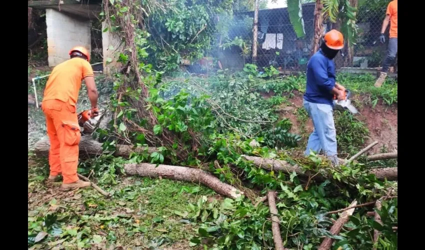 Foto ilustrativa de los daños producto de las lluvias. 