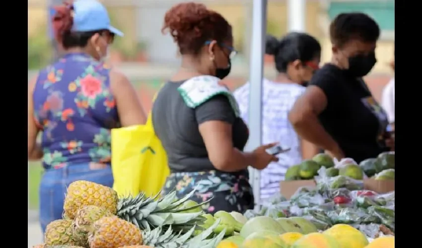 Foto ilustrativa de los productos.