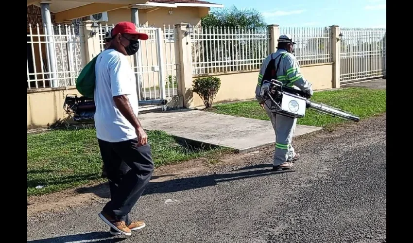 Recorrido de los vectores por las calles de Panamá. 