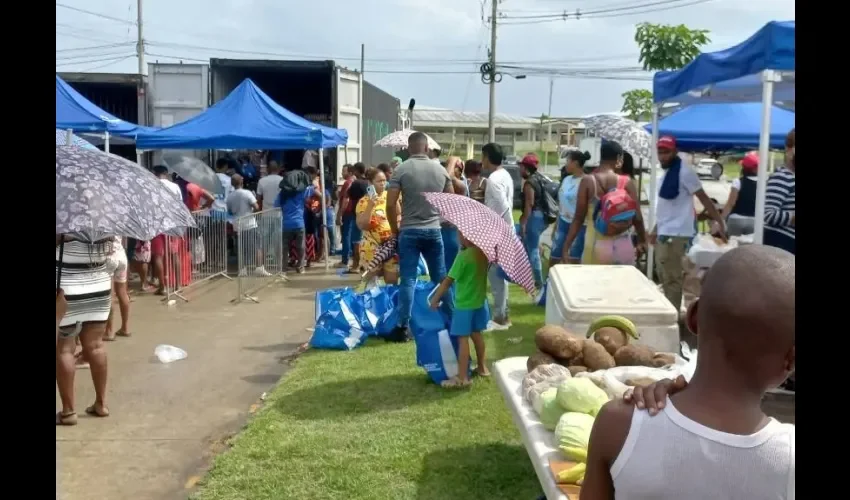 Cientos de colonenses participaron de la actividad. 