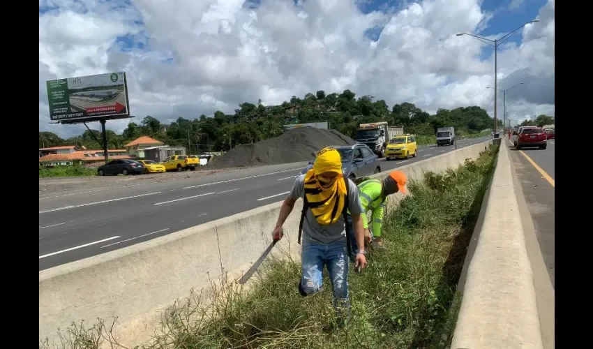 Foto: Cortesía