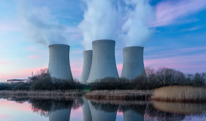 Las plantas generar una oleada de destrucción a la naturaleza.