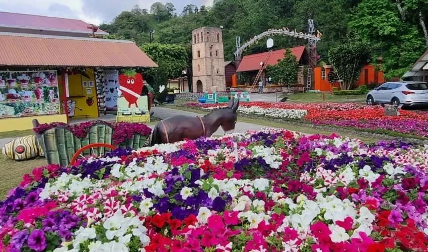 Vista de la feria de Boquete. 