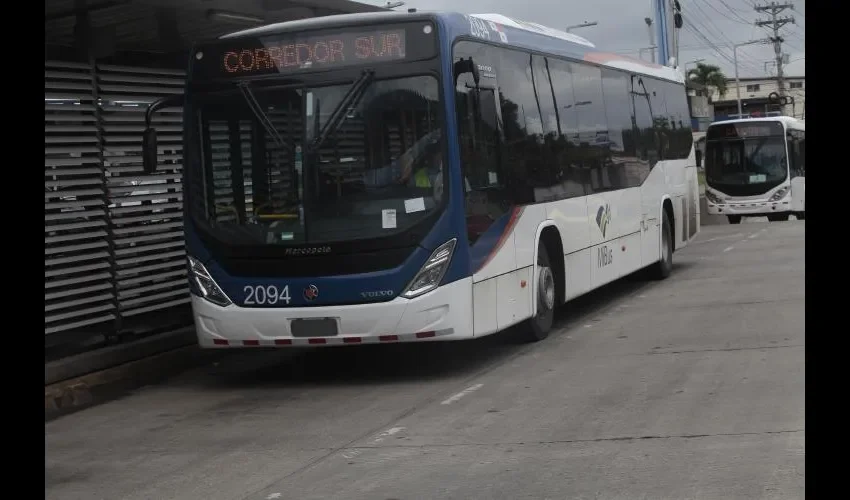 Las personas en sillas de ruedas piden más espacios para una mejor accesibilidad. Foto: Roberto Barrios