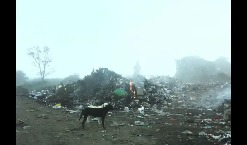 Basura en Veraguas.