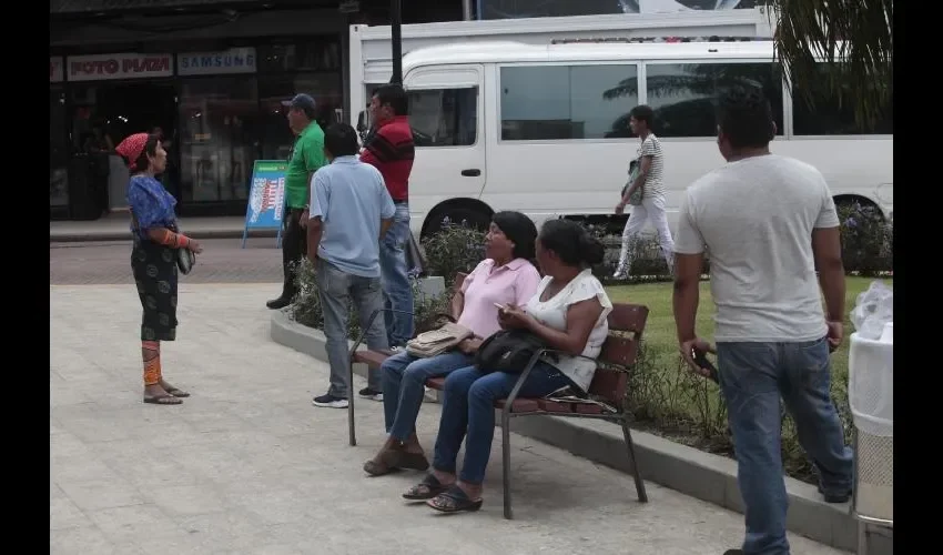 Así los pueden observar todos los días en el parque de la plaza 5 de Mayo.   Roberto Barrios 