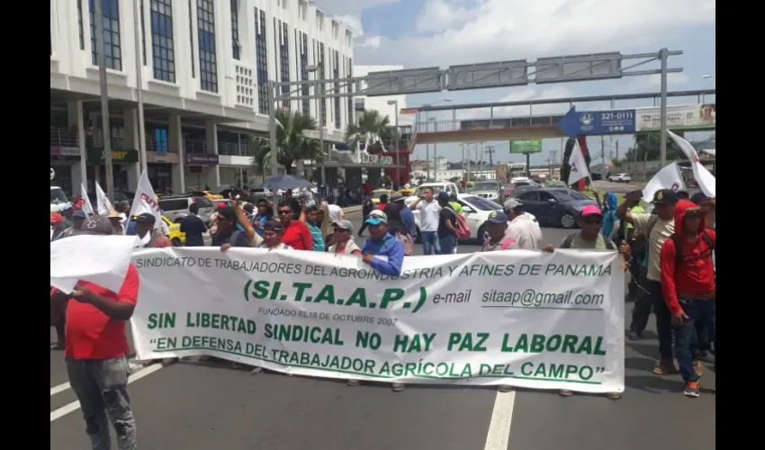 Foto ilustrativa de los trabajadores en Minera Panamá. 