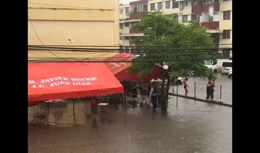 193 viviendas afectadas dejaron las últimas inundaciones. Foto: Cortesía