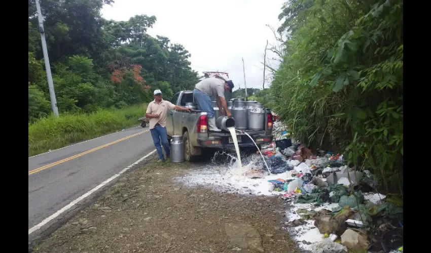 Productores de la Cooperativa Alto Bayano y Darién.