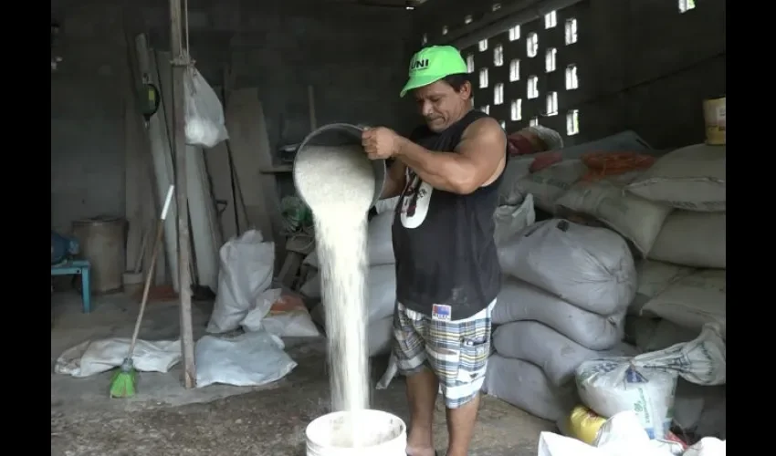 Fumigación en Tonosí. 