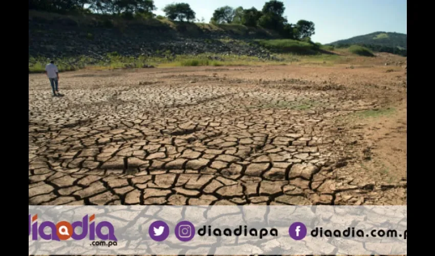 El mal tiempo afecta las producciones. Foto: Epasa