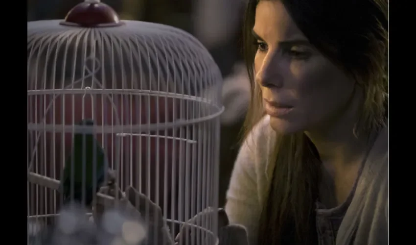 Sandra Bullock. 