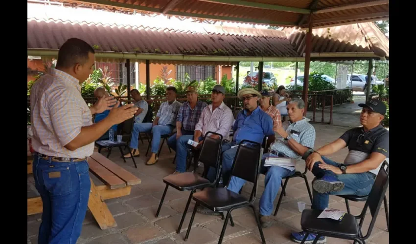 Foto ilustrativa de la reunión. 