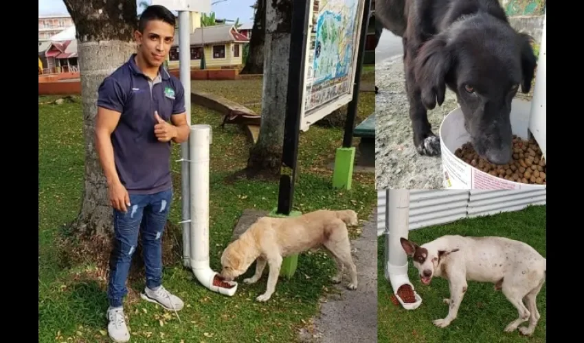 Los comederos improvisados han sido de mucha ayuda para la reserva de comida de los animales en época de crisis. Foto / cortesía.