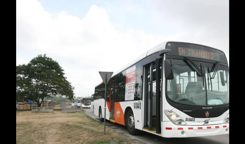 Foto ilustrativa de un bus. 