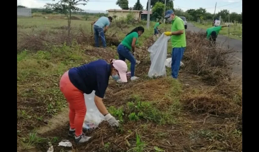 Los voluntarios también limpiaron las vías de acceso al lugar. 