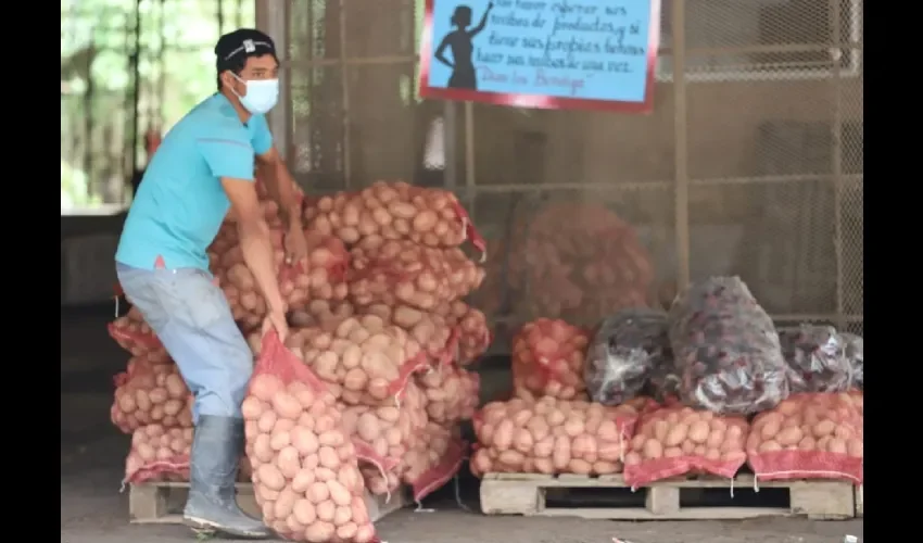 Foto ilustrativa de la producción. 