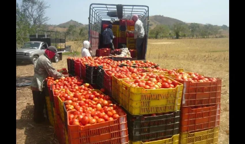 Foto ilustrativa de la producción. 