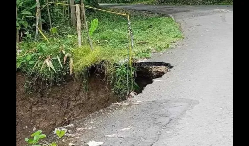 Foto: Diomedes Sánchez. 