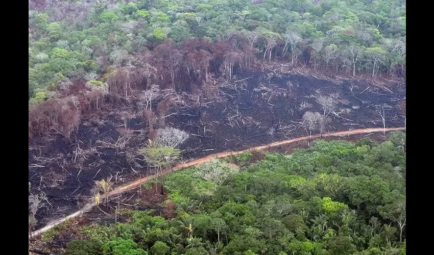 Foto ilustrativa del daño ambiental.