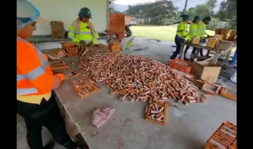 Personal femenino a cargo de la distribucción de la mercancía. 