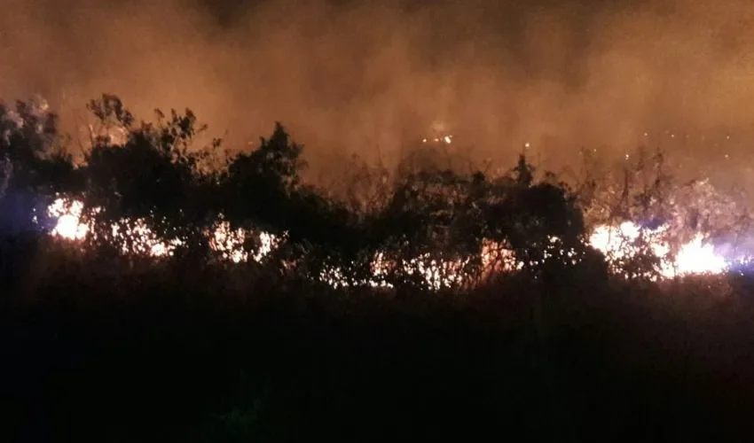 Autoridades buscan frenan incendios a través de recomendaciones. 