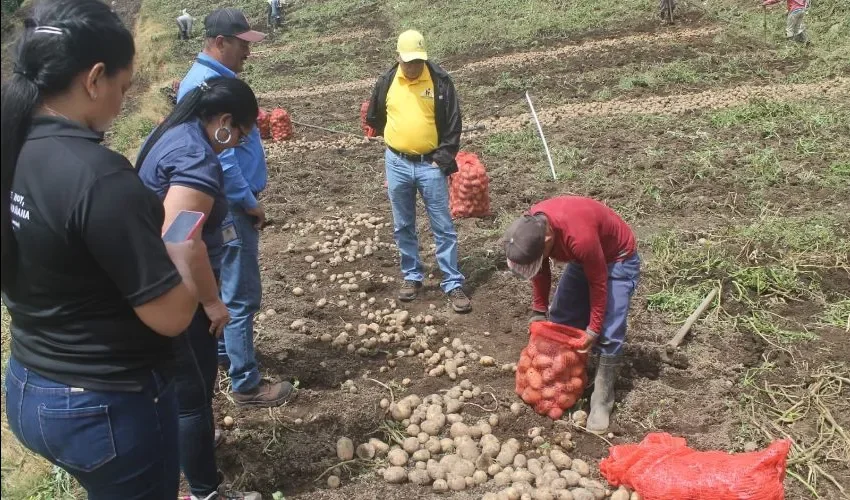 El trabajo infantil es ilegal en Panamá. 