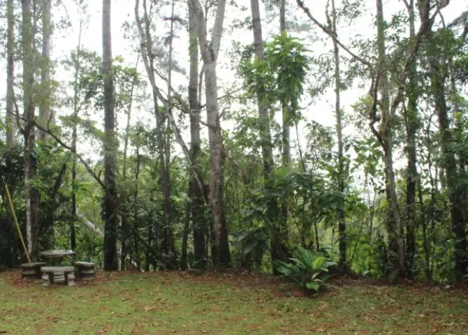   Invertirán en la recuperación del Parque Nacional Campana  